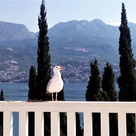 Villa Boka Sunrise Apartments Herceg Novi Exterior foto