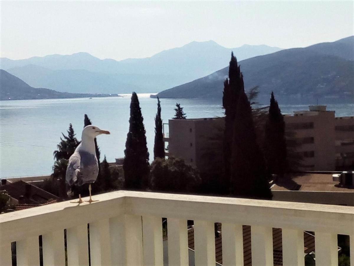 Villa Boka Sunrise Apartments Herceg Novi Exterior foto